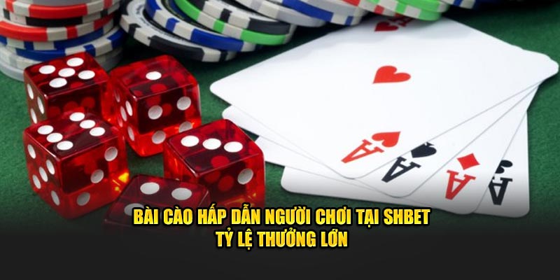 Bài Cào hấp dẫn người chơi tại SHBET tỷ lệ thưởng lớn