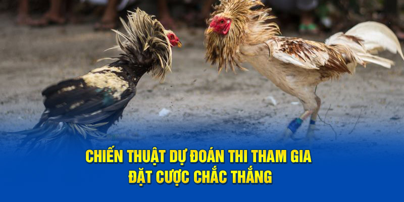 Chiến thuật dự đoán thi tham gia đặt cược chắc thắng