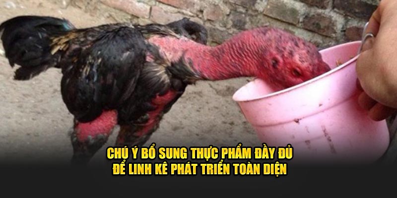 Chú ý bổ sung thực phẩm đầy đủ để linh kê phát triển toàn diện