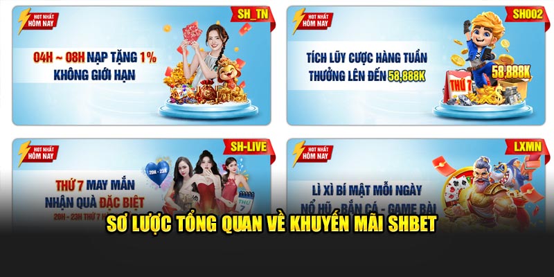 Sơ lược tổng quan về khuyến mãi SHBET 