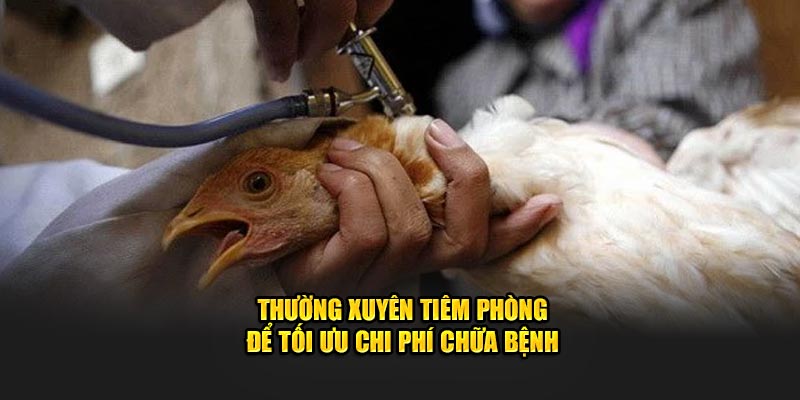 Thường xuyên tiêm phòng để tối ưu chi phí chữa bệnh